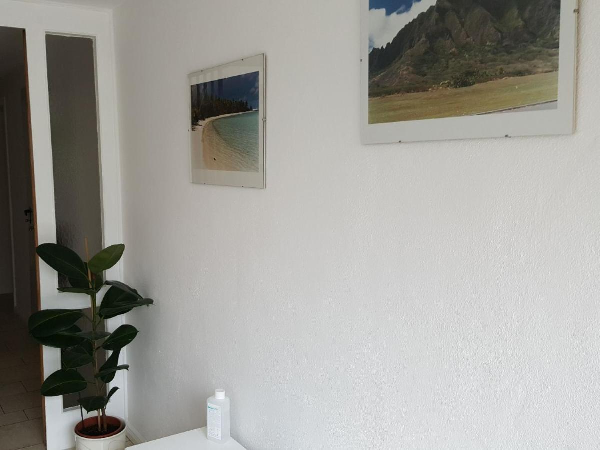 Ferienwohnungen Am Finkenweg بيستفيغ المظهر الخارجي الصورة